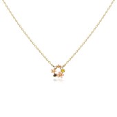 Colier argint placat cu aur galben cu flori DiAmanti PN0277NY-AS